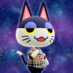 Punchy's photo