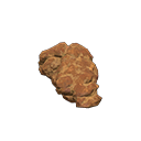 coprolite