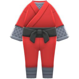 Ninja Costume