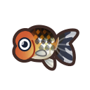 Ranchu goldfish