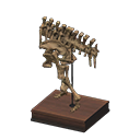 diplo pelvis