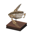 plesio torso