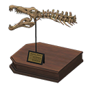 spino skull