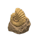 ammonite