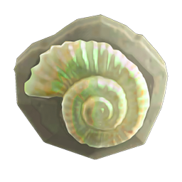 fossil doorplate