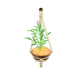 coconut wall planter