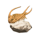 trilobite