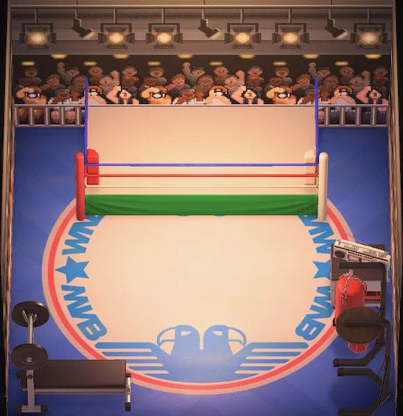 Lucha's house interior