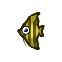 Angelfish