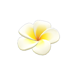 Plumeria Hairpin