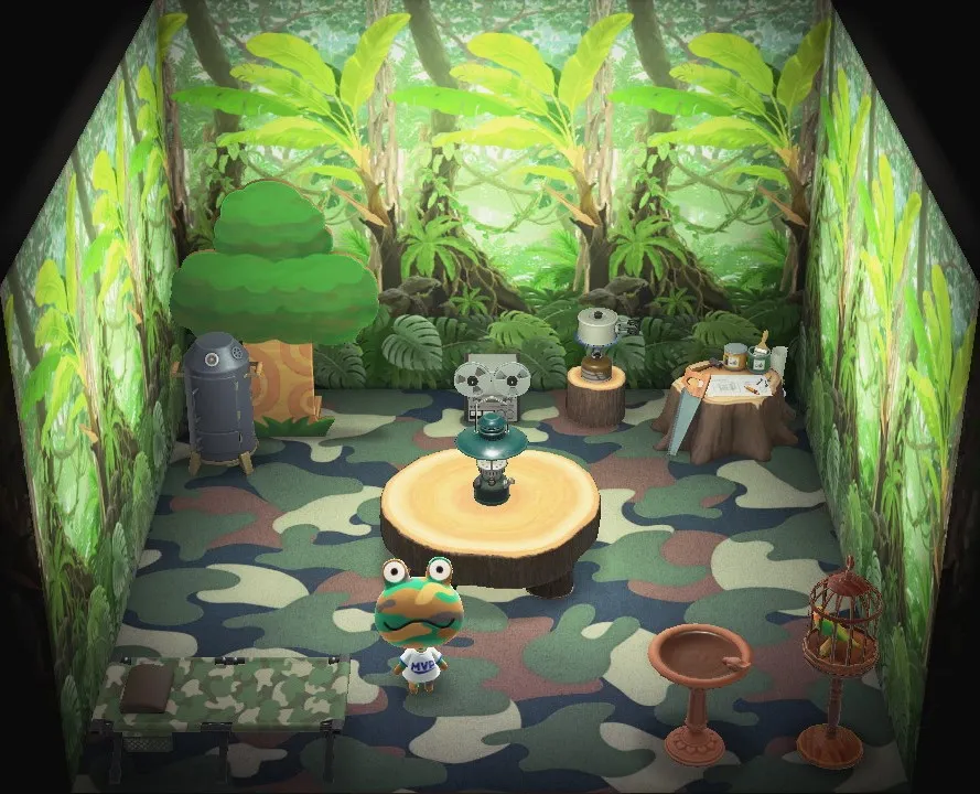 Camofrog's house interior