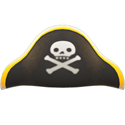 Pirate's Hat
